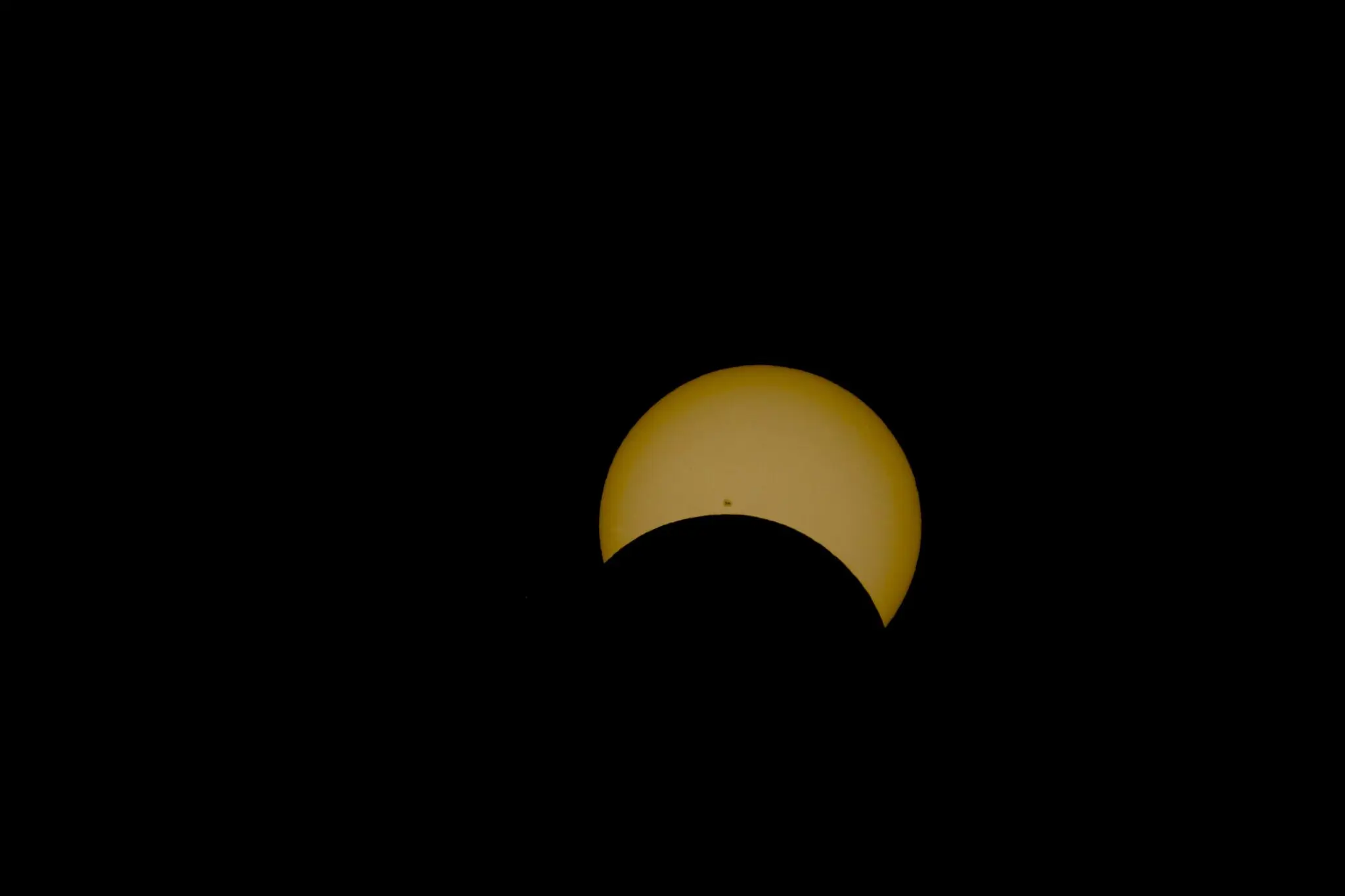 Eclipse solar: la RSCE pide no ponerle gafas a tu perro para evitarle estrés 1 eclipse 12 agosto perros
