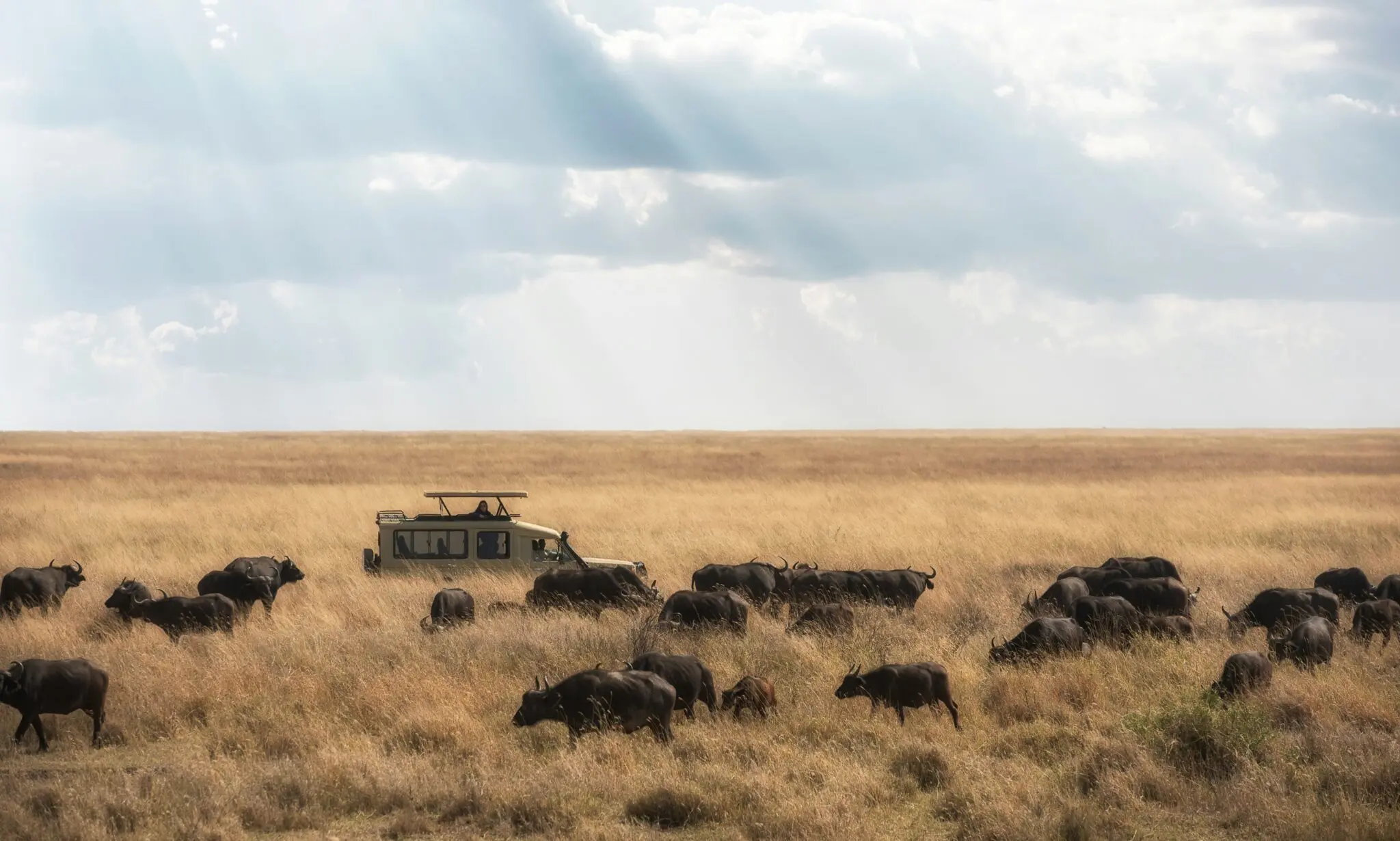 Wildlife Photographer of the Year: 13 imágenes de la 60ª edición 2 fotógrafo de vida silvestre del año