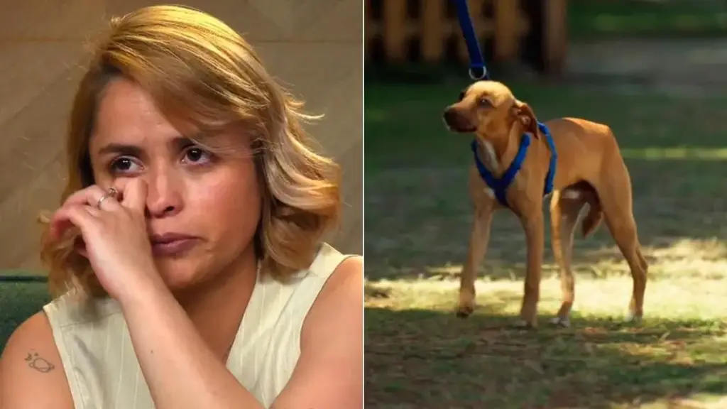 "Pensé que se iba a morir y que me iba a morir yo": ‘Dog House’ enfrenta una de sus adopciones más difíciles 1 ‘Dog House’ pone el foco en la complicada historia de Mollete
