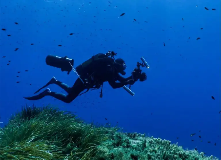 La Bluewave Alliance promueve una expedición científica para estudiar el Banco Talbot, uno de los enclaves submarinos más desconocidos del Mediterráneo