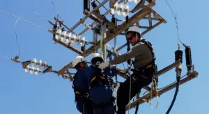 Profesionales al sector eléctrico