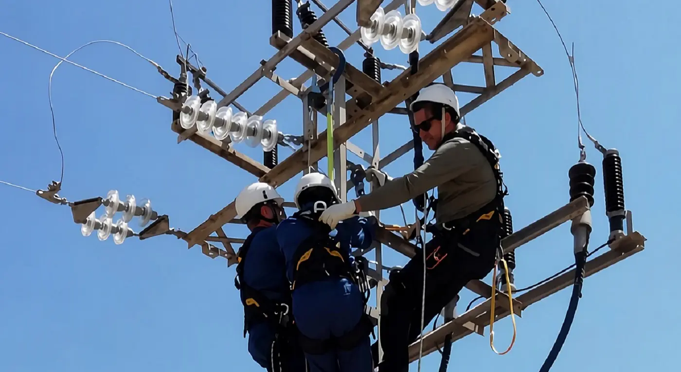 Profesionales al sector eléctrico Profesionales al sector eléctrico