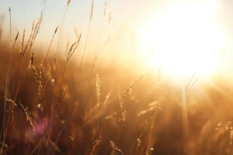 La Aemet avisa del fin de las lluvias torrenciales y la vuelta del calor con más de 35 grados