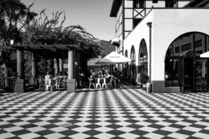 terrazas pet friendly