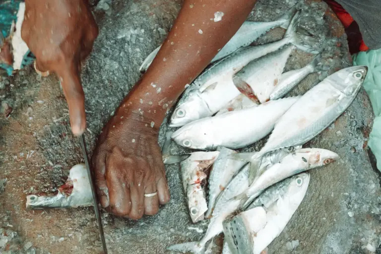El truco de Ángel León para desangrar el pescado azul y su receta de caballa con verduras