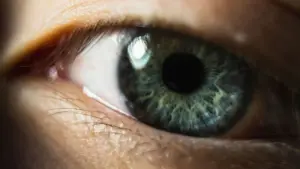 desprendimiento de retina síntomas