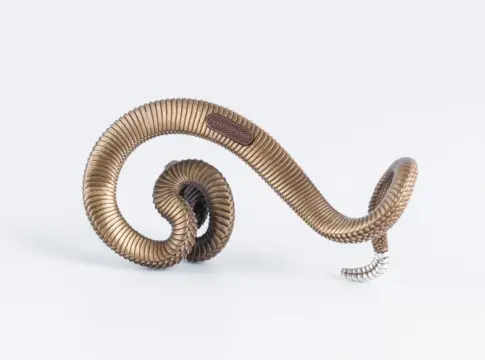 embriones-serpiente-espiral-portada embriones serpiente espiral