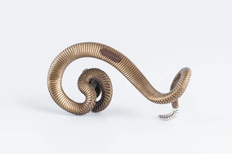 Los embriones de serpiente espiral: el motivo por el que se enrollan está en su intestino