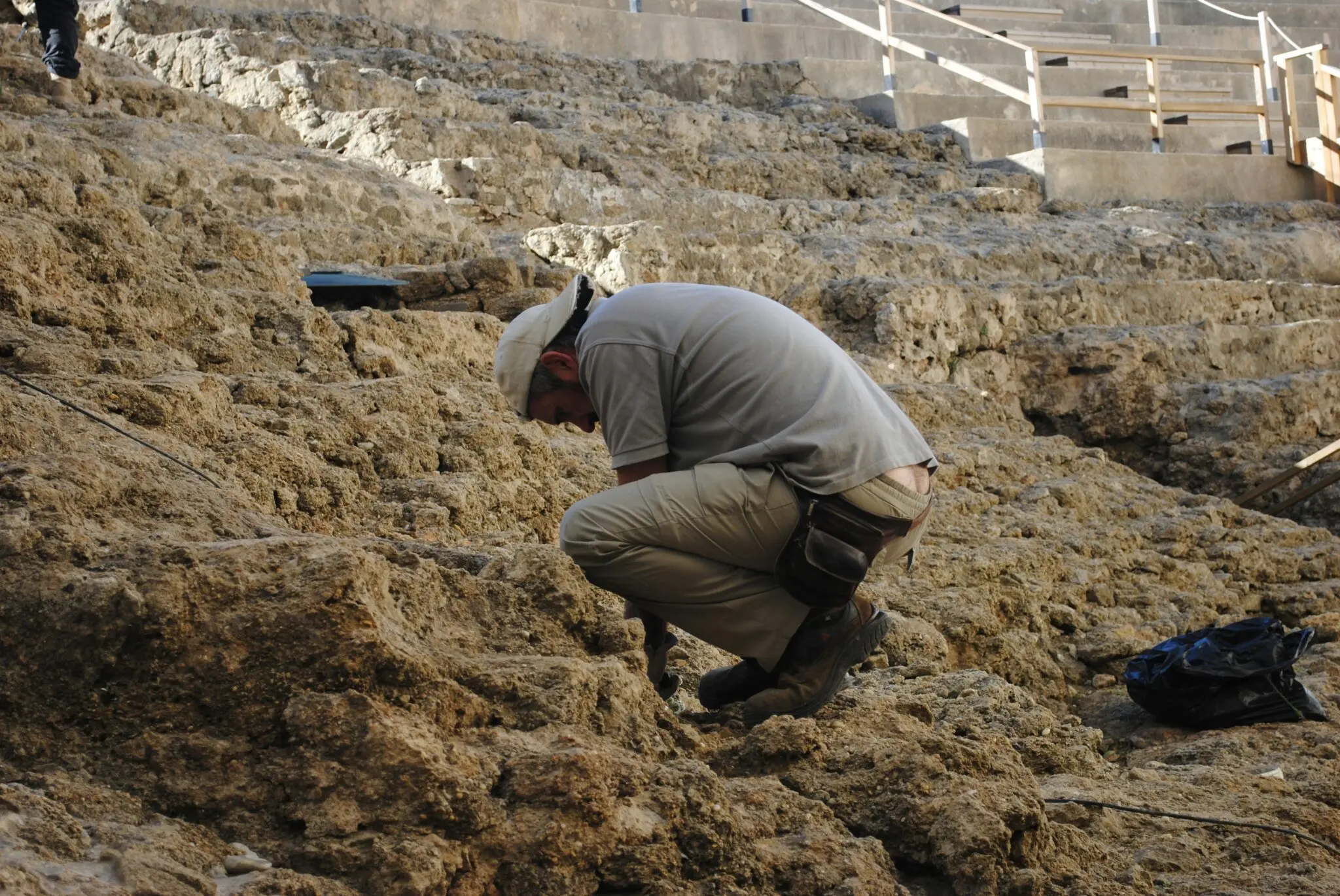 origen del género Homo