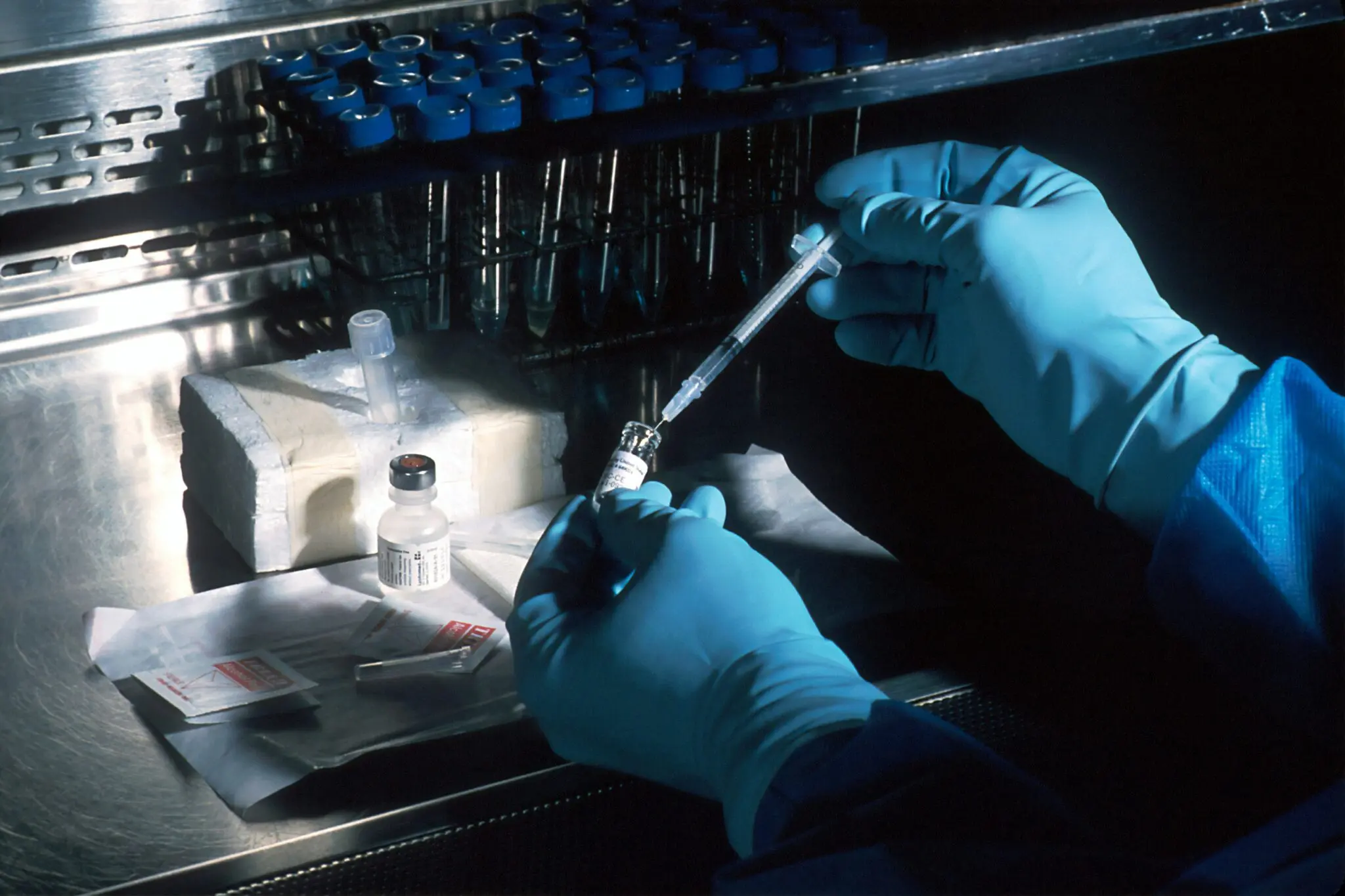 fibrosis hepática