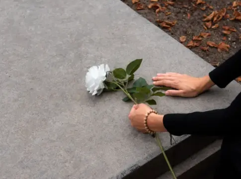 Ni vida ni muerte: los biólogos identifican un Ni vida ni muerte: los biólogos identifican un