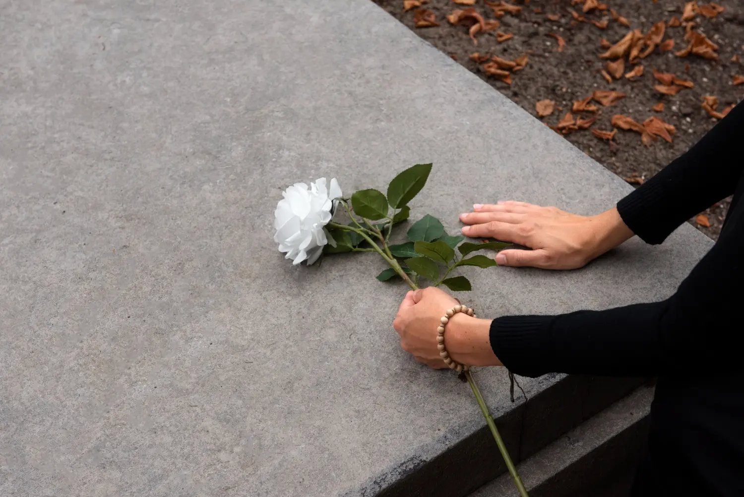 Ni vida ni muerte: los biólogos identifican un Ni vida ni muerte: los biólogos identifican un