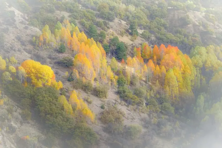 Luz y gas: así puedes renegociar tu tarifa fija antes de que lleguen las primeras facturas altas del otoño