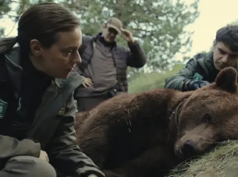Matar a un oso Matar a un oso
