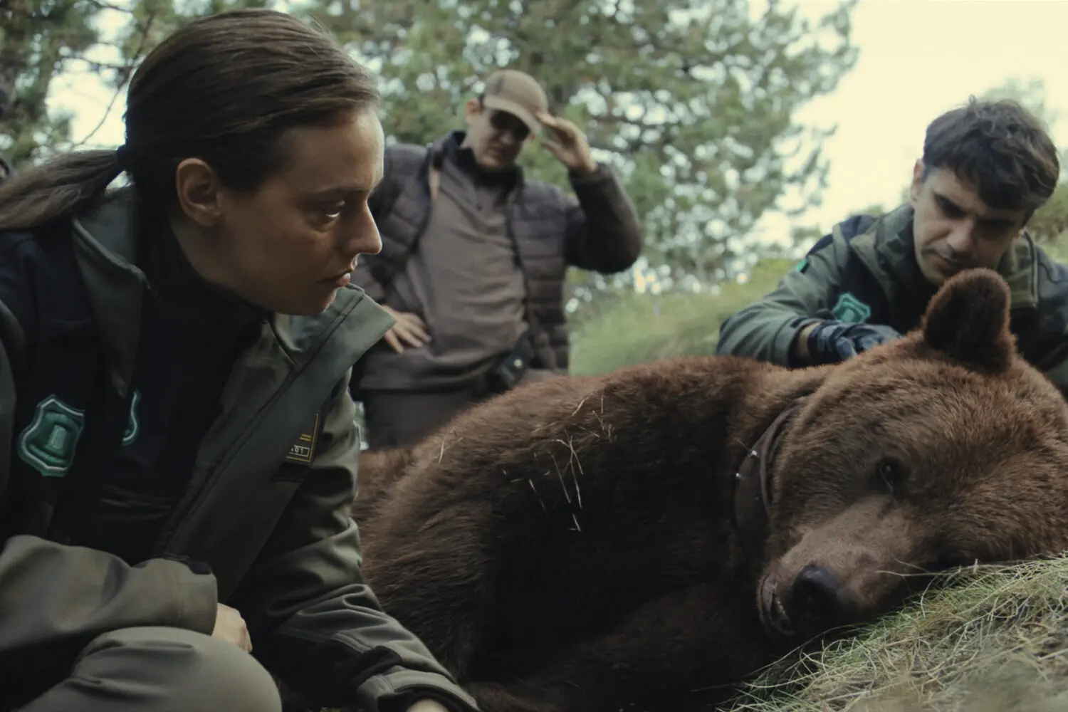 Matar a un oso Matar a un oso