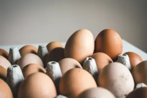 salmonela huevos