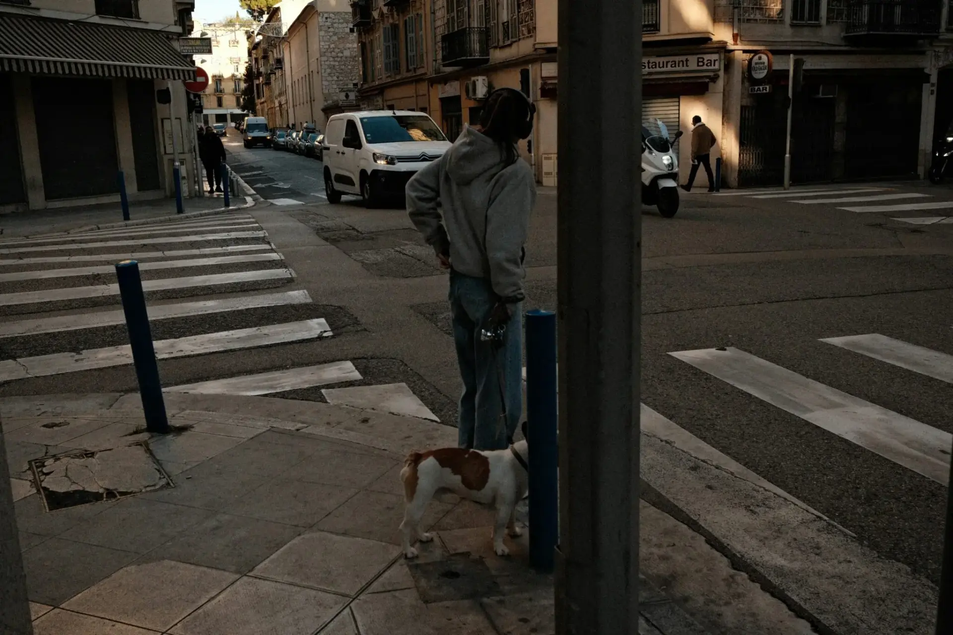 atropello-perros-cambio-horario-portada atropello perros cambio horario