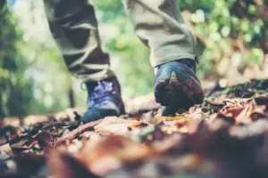 El pueblo desconocido de la Sierra Norte a 45 minutos de Madrid con un bosque de castaños ideal para visitar con niños