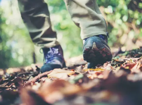 El pueblo desconocido de la Sierra Norte a 45 minutos de Madrid con un bosque de castaños ideal para visitar con niños El pueblo desconocido de la Sierra Norte a 45 minutos de Madrid con un bosque de castaños ideal para visitar con niños