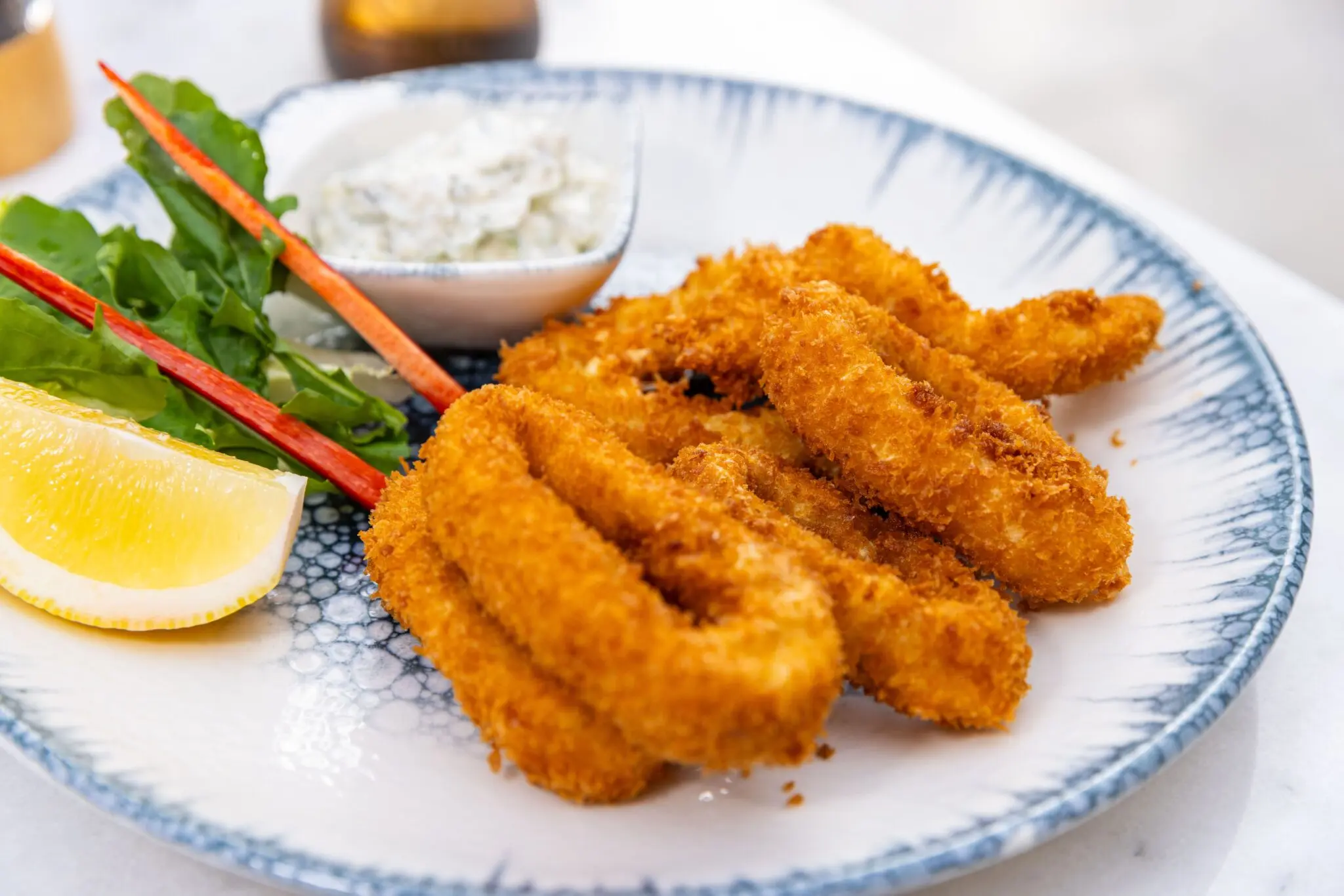 Dónde comer en Santander: los mejores restaurantes de rabas, anchoas y sorropotún 1 mejores restaurantes Santander