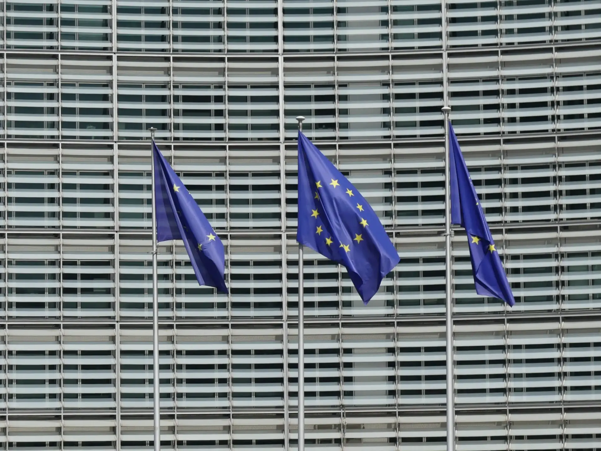 expediente-regularizacion-bruselas-espan-portada expediente regularización Bruselas