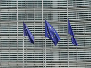 expediente regularización Bruselas