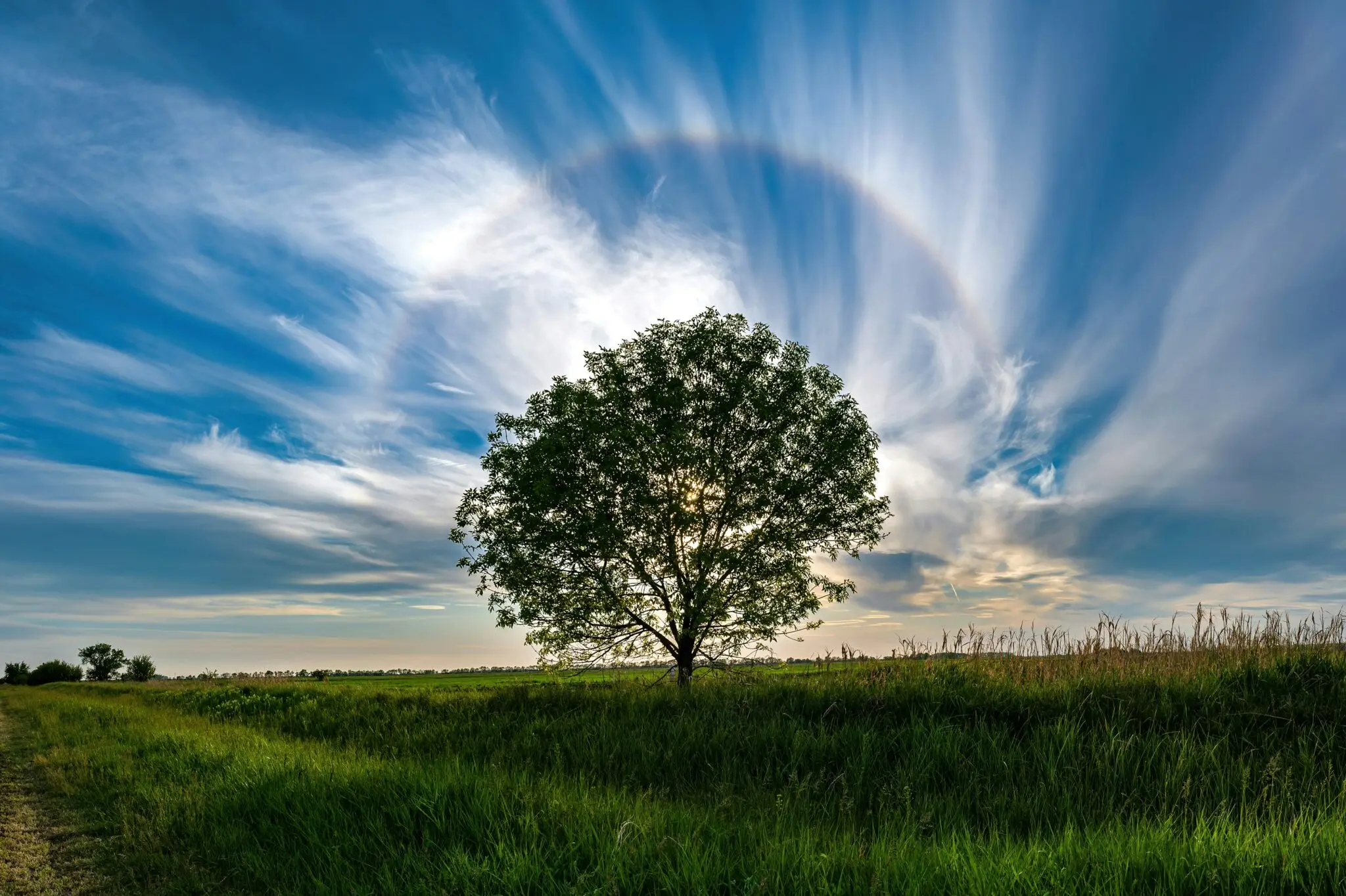 Fenómenos luminosos del cielo: diez luces con explicación científica 2 luces extrañas en el cielo