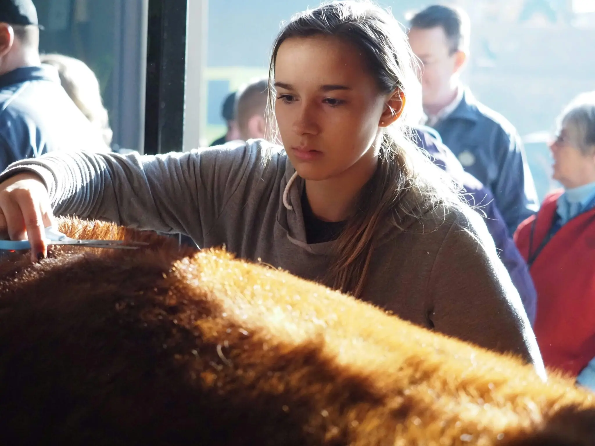 La Granja Docente Veterinaria de Murcia cumple 25 años formando a los veterinarios del futuro 1 formación veterinaria España
