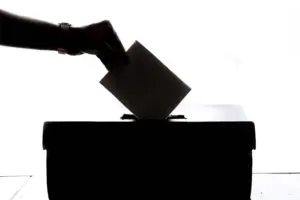 ley de nietos voto