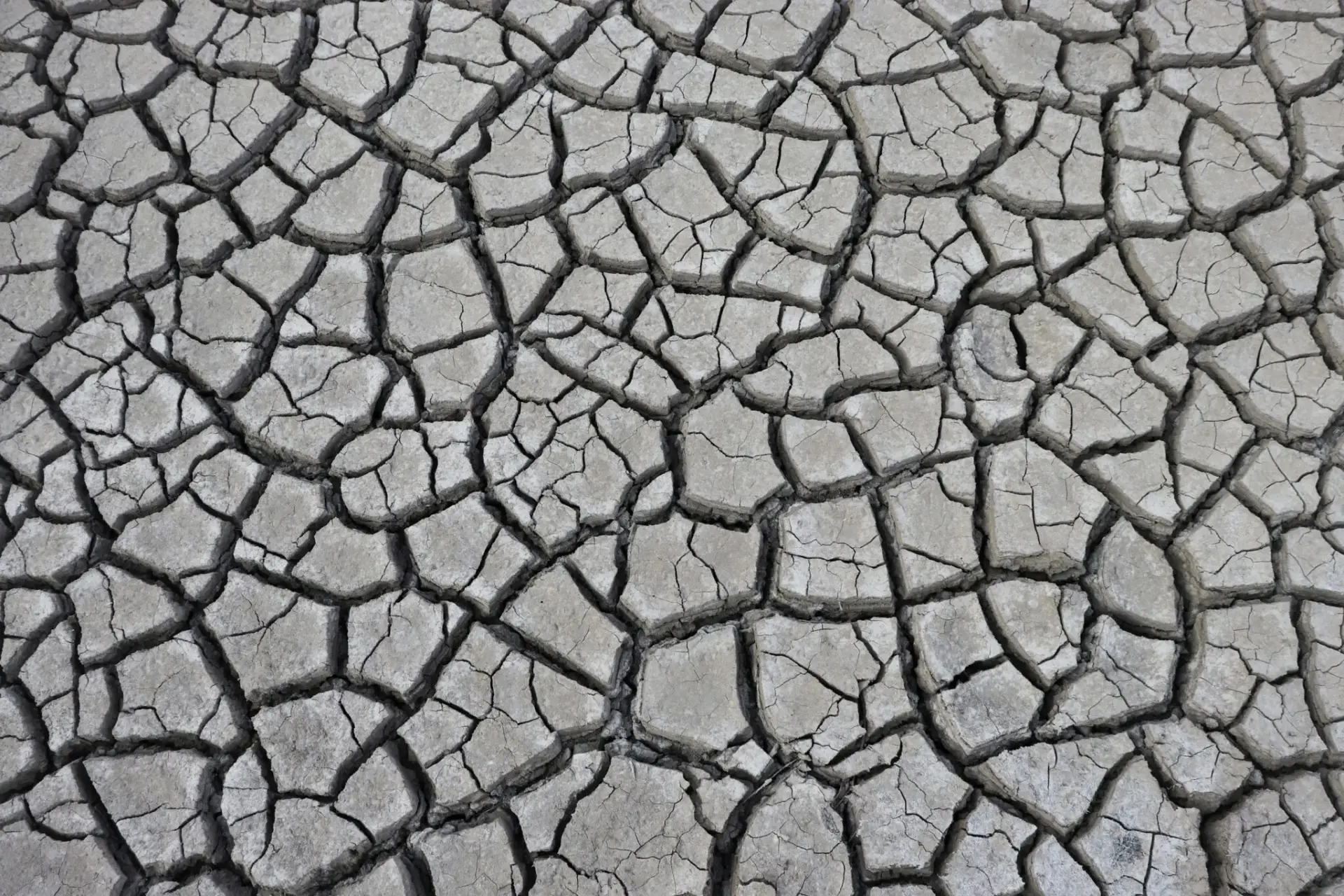 ley-resiliencia-climatica-bruselas-portada ley de resiliencia climática