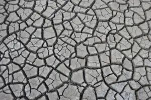 ley de resiliencia climática