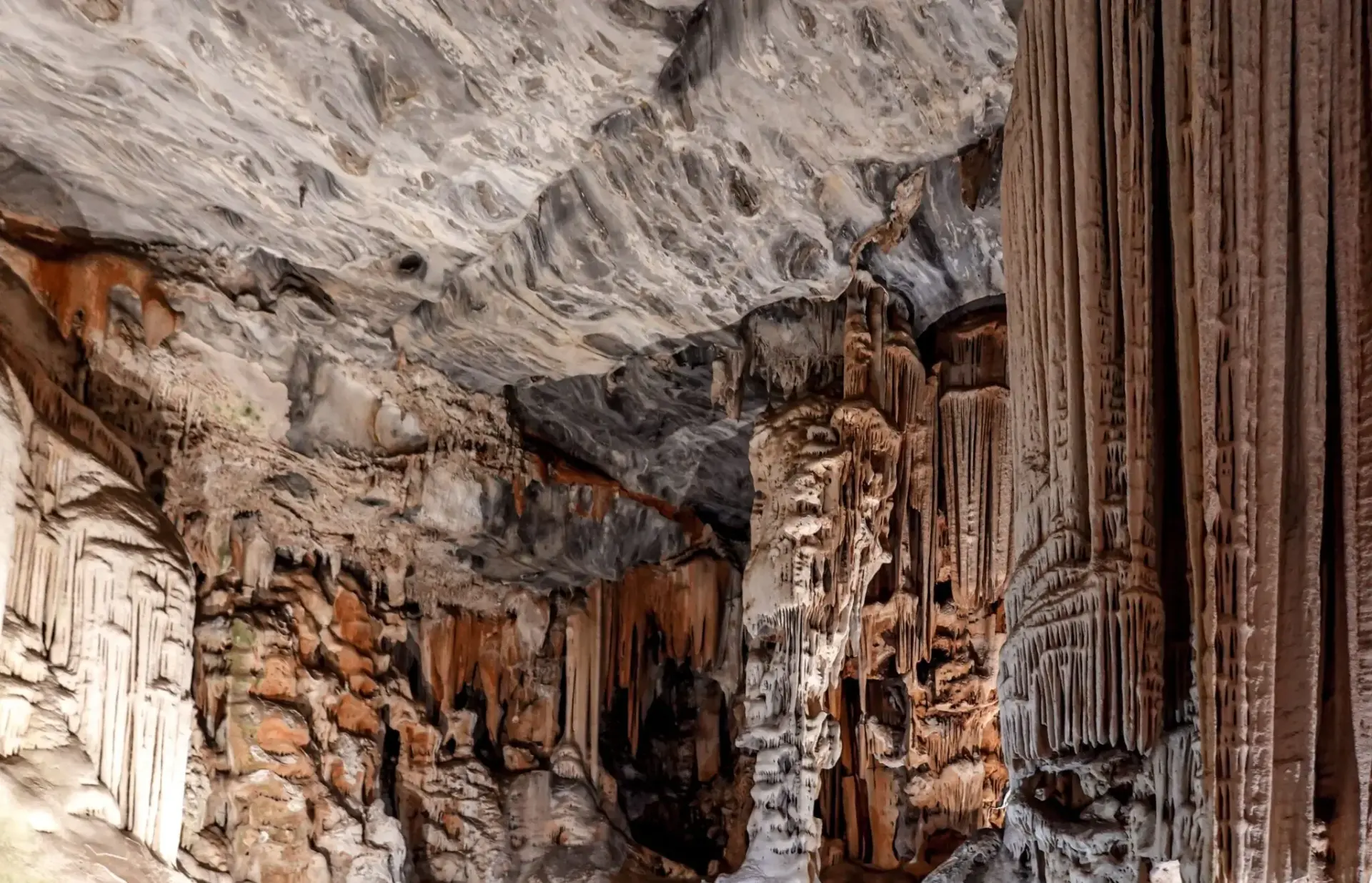 neandertal-navarra-abauntz-portada neandertal Navarra Abauntz