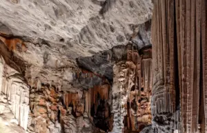 neandertal Navarra Abauntz