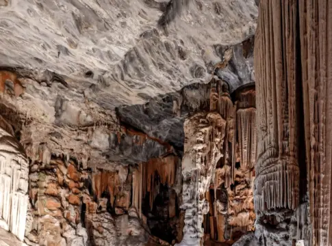 neandertal-navarra-abauntz-portada neandertal Navarra Abauntz