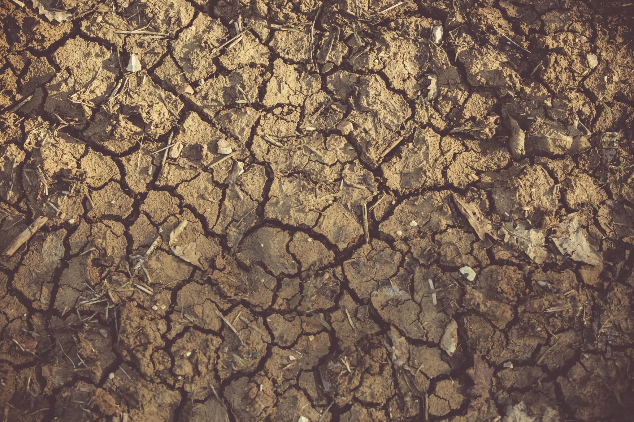 fondo de pérdidas y daños