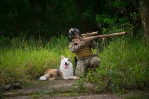 perros modificados genéticamente