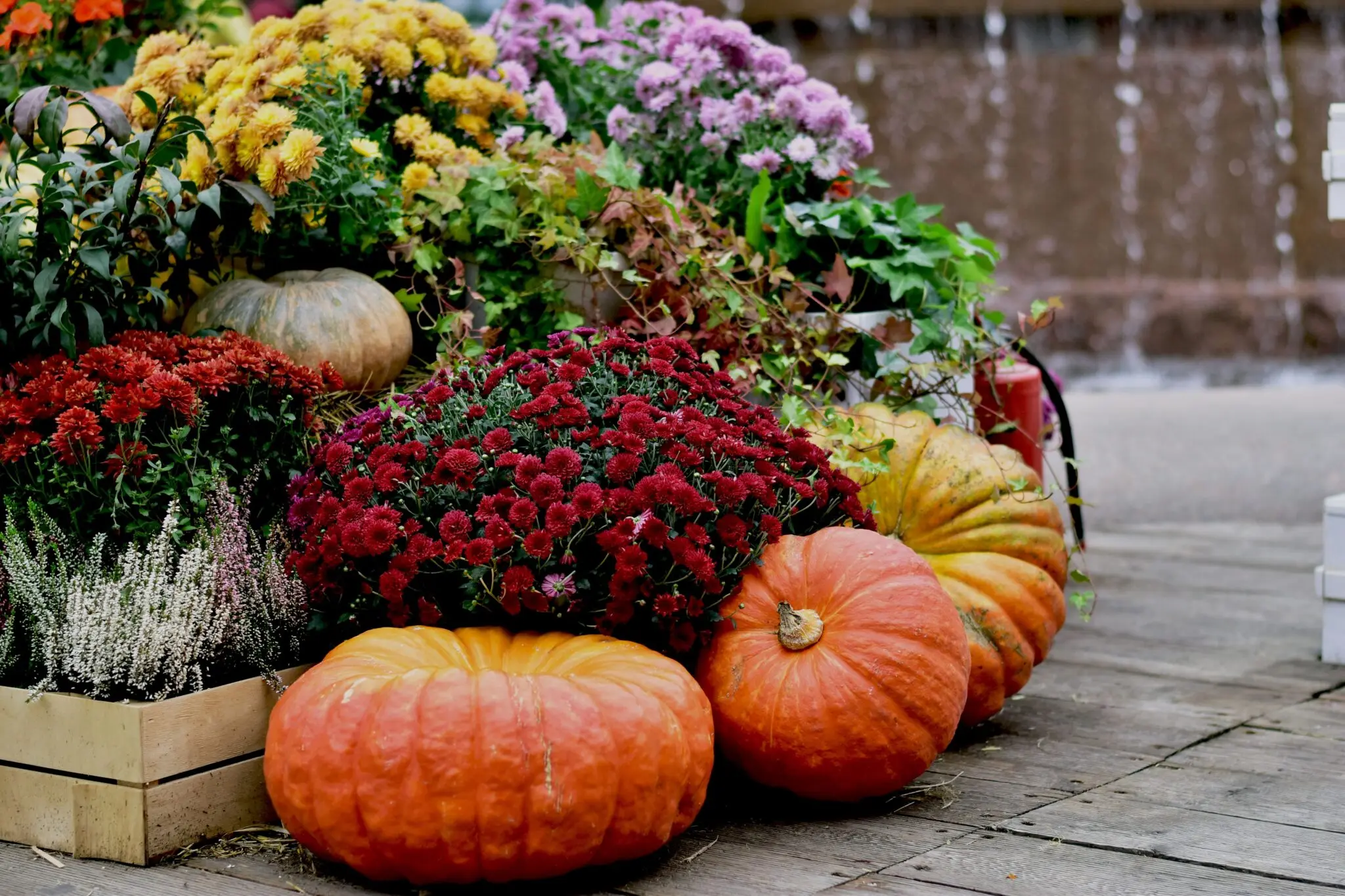 Los planes del fin de semana en Madrid: Sorolla, Ciencias Naturales gratis y la Fiesta de la Calabaza 1 qué hacer en Madrid este finde