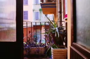 plantas invasoras
