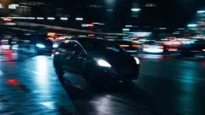 robotaxi Tesla gatos