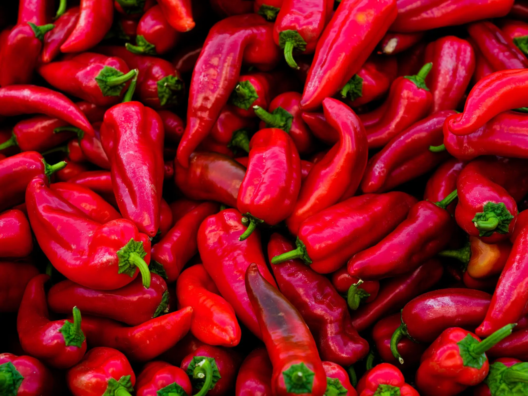 The Hell Contest 2026: la mayor feria del picante de Europa llega a Algemesí 1 feria del picante Algemesí