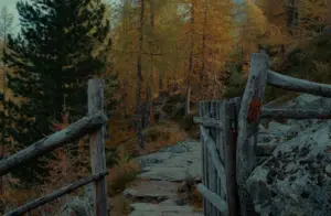a wooden gate leading to a path in the woods