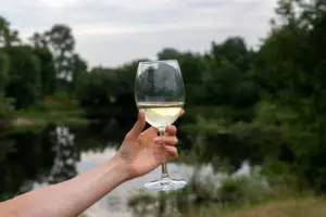 Vega Sicilia vino blanco