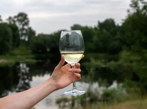 vega-sicilia-vino-blanco-deiva-portada Vega Sicilia vino blanco