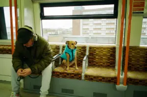 viajar con perro en metro