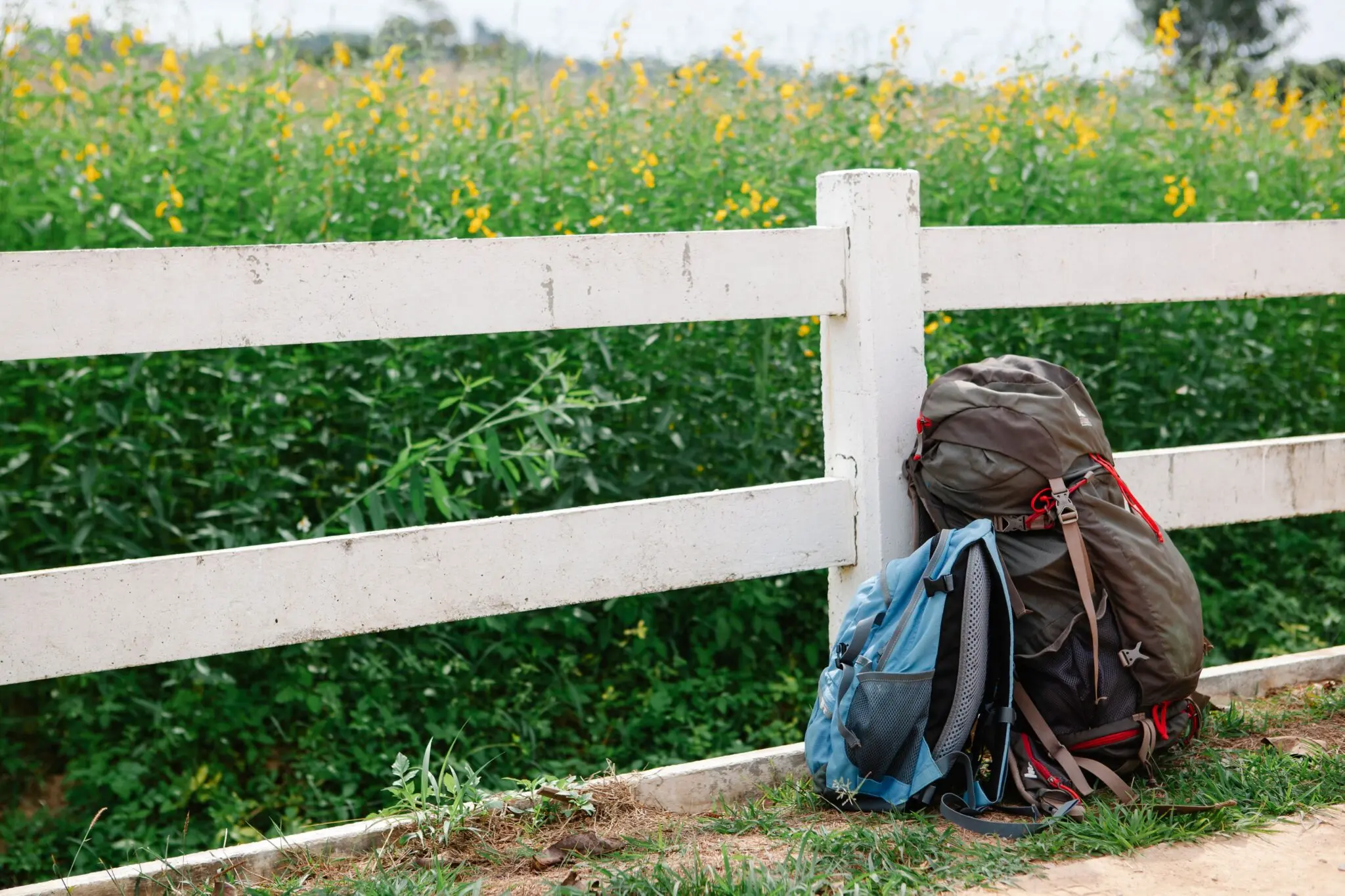 Vivir gratis en Asturias: buscan voluntarios para atender peregrinos 25 horas a la semana 1 voluntariado alojamiento gratis