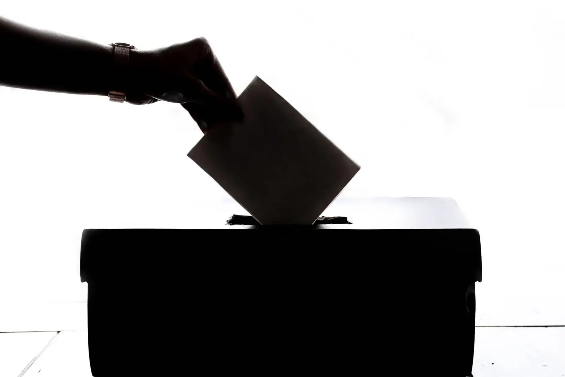 vox-senado-elecciones-abascal-portada Vox Senado elecciones